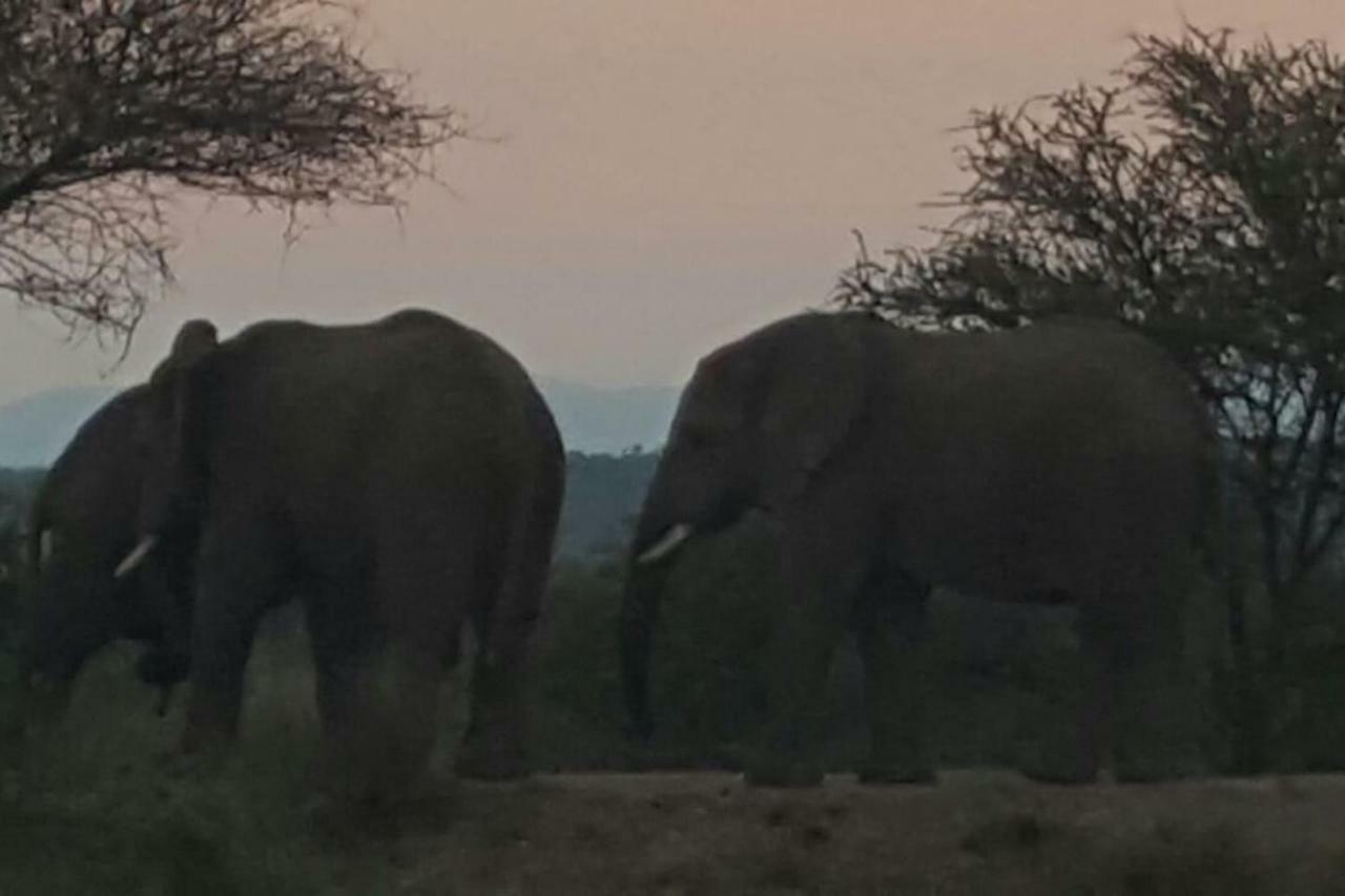 Villa Kubu Khaya Mabalingwe Mabula Game Reserve Exterior foto